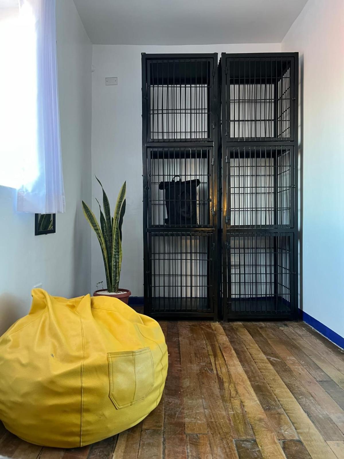 Haku Hostel Куско Экстерьер фото
